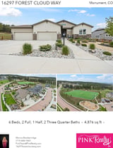 Printable PDF flyer of 16297 Forest Cloud Way. Photos & Basic Info