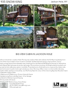 Printable PDF flyer of 935 Snow King. 4 Photos & Short Description