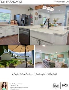 Printable PDF flyer of 131 Faraday St. Photos & Basic Info